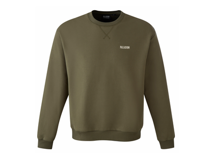 1713141-309 | U CORE SWEATSHIRT 01 | OLIVE NIGHT