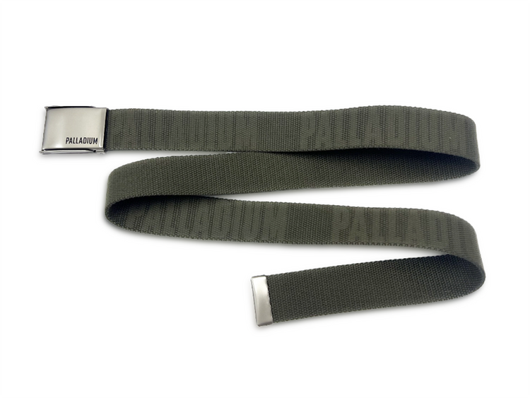 AC0229-308 | BELT | DUSKY GREEN