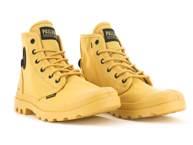 Pampa 2025 hi original